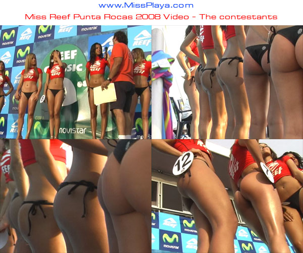 Bikini Contest Miss Reef